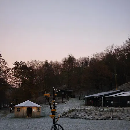 Pekny Les Feriehus Horne Hamre